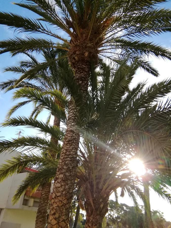 Cozy Apartment With Amazing Views To Garden Next To The Ocean Costa Del Silencio Extérieur photo